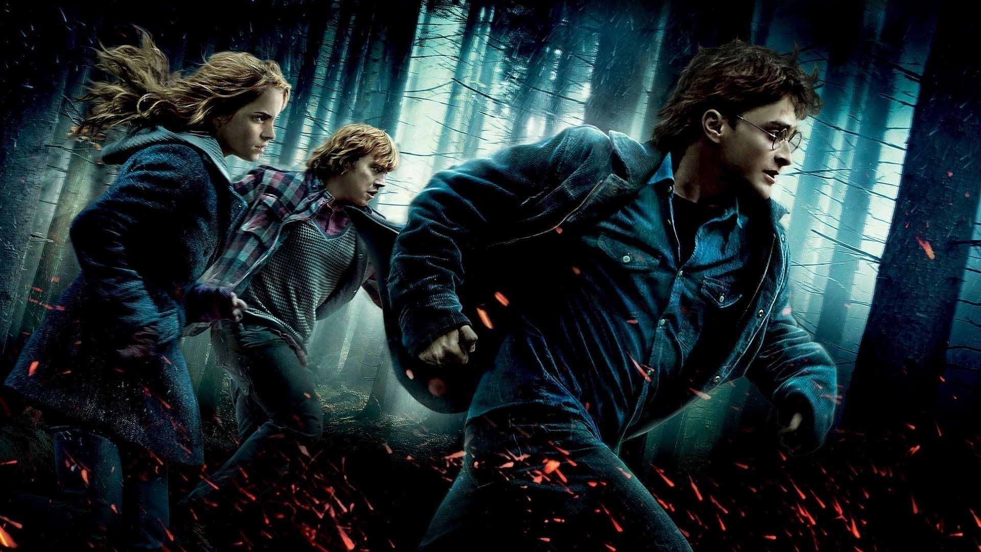 Harry Potter et les Reliques de la mort - 1ère partie